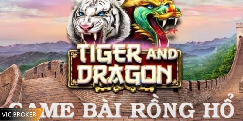 Chiến thuật chơi rồng hổ đơn giản