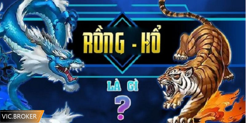Tổng quan về game rồng hổ Vic Club