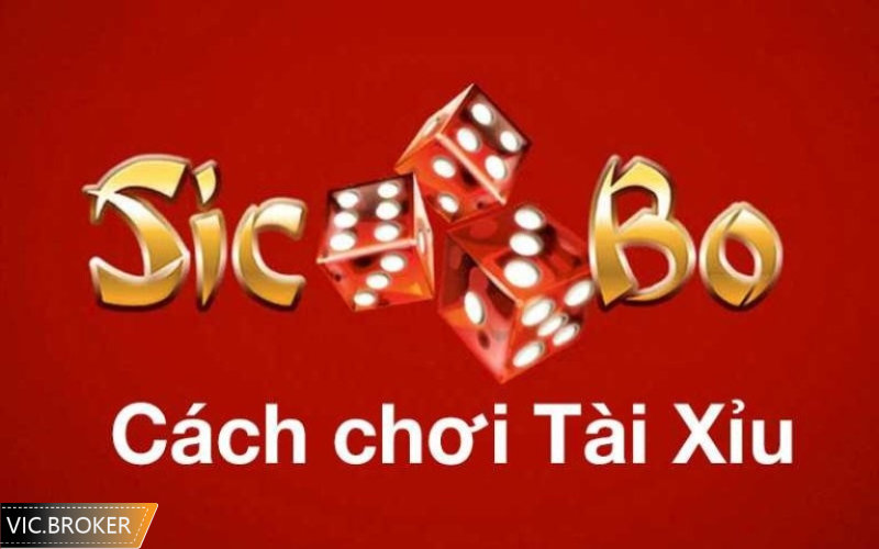 Mẹo chơi tài xỉu dễ thắng là gì?
