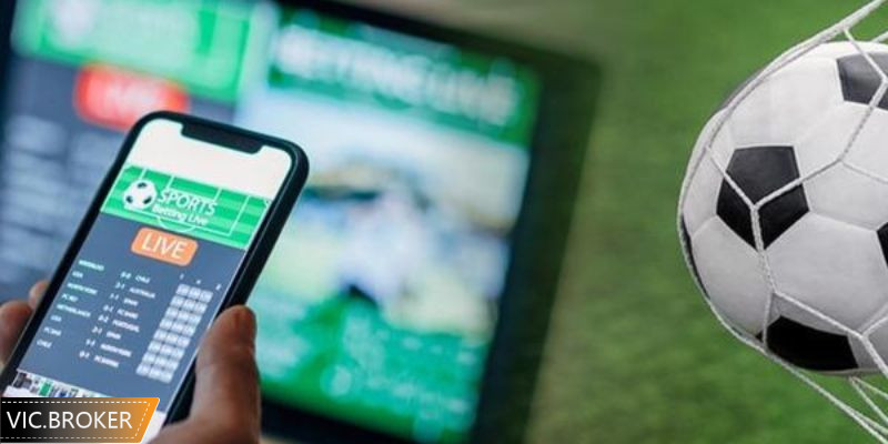 Một số tiêu chí cần chú ý khi tham gia web cá độ bóng đá