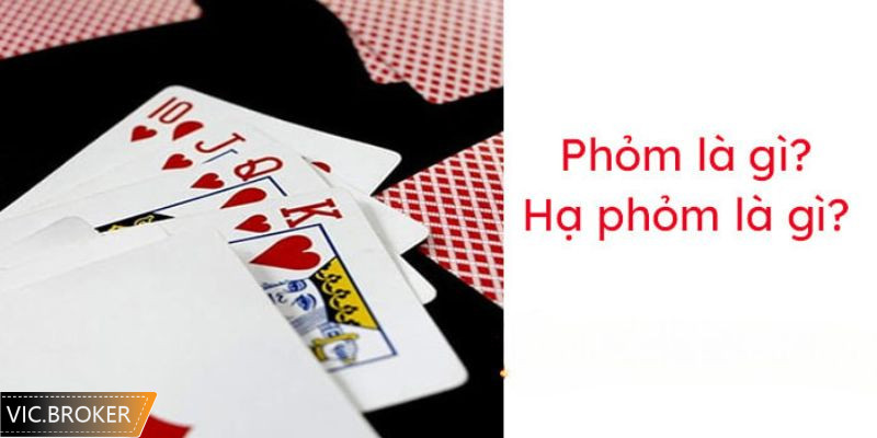 Tìm hiểu phỏm và hạ phỏm là gì