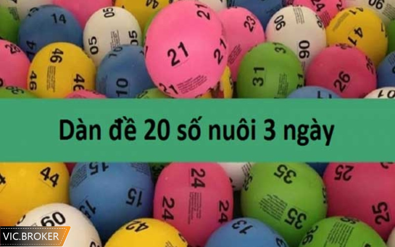 Các bước nuôi dàn đề 20 số khung 3 ngày đơn giản