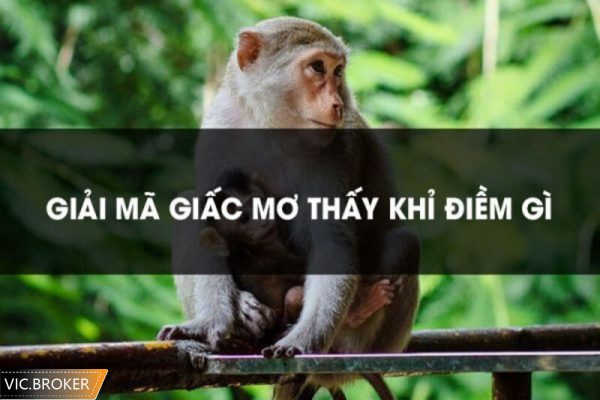 nằm mơ thấy khỉ đánh số gì