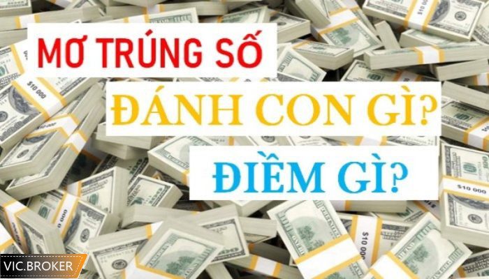 nằm mơ thấy trúng số đánh con gì
