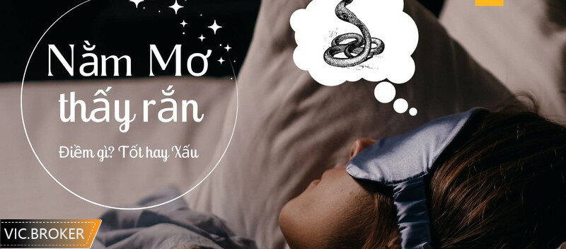 Nằm mơ thấy rắn cắn tay đánh số gì?