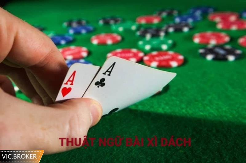 Cập nhật các thuật ngữ trước khi chơi xì dách