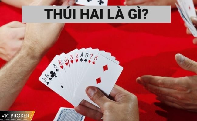 thúi hai là gì (thúi heo là gì)